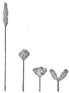 Fig. 139