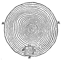 Fig. 14