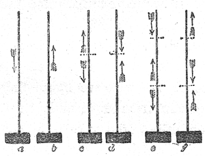 Fig. 83